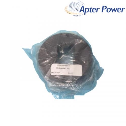 0020-82913   ELECTRODE